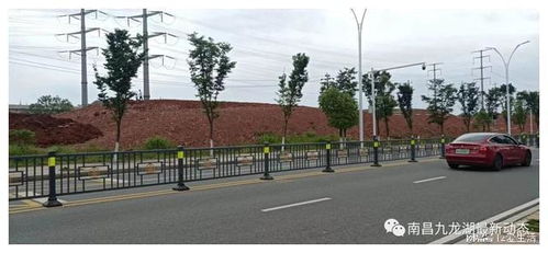 南昌九龍湖大型公園綠化用地施工忙 有點坡度更有特色