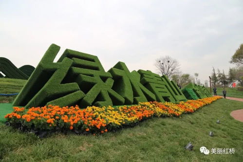 紅橋區(qū)推進(jìn)20項(xiàng)民生實(shí)事落實(shí)處見實(shí)效