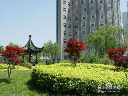 園林綠化施工中喬灌木種植注意事項(xiàng)