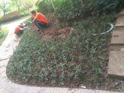 簡(jiǎn)單的工作,每天重復(fù)做好