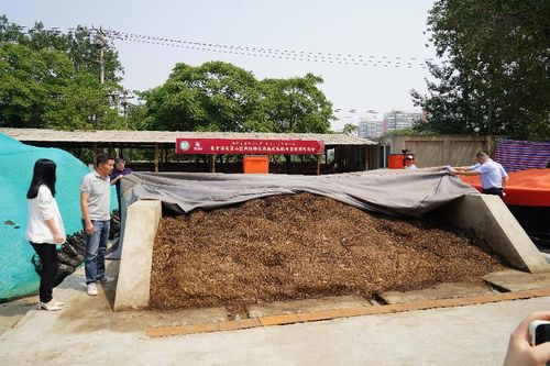 膜式好氧堆肥技術(shù)實(shí)現(xiàn)園林綠化廢棄物變廢為寶